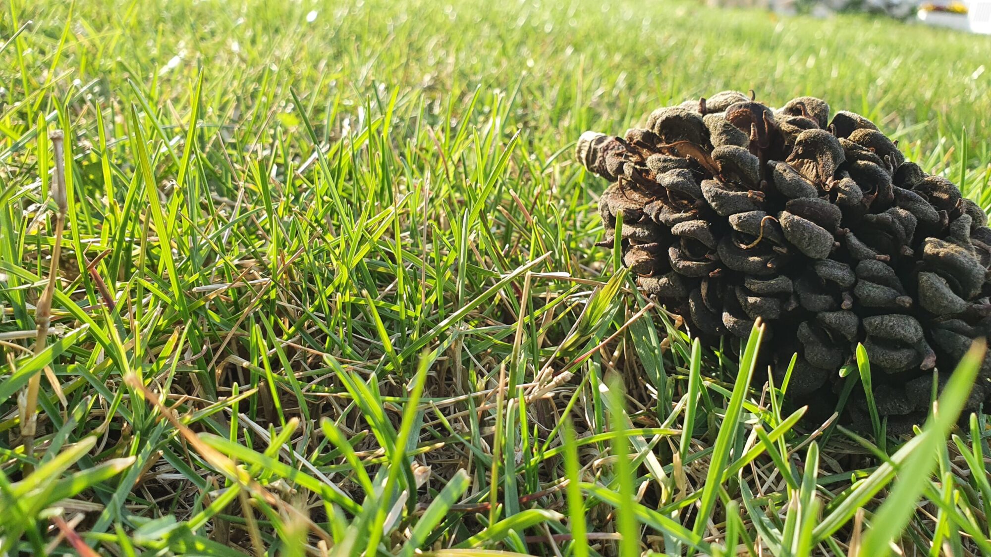 cropped-20210410_175044-scaled-1.jpg